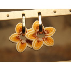 Pampilles Tiare avec créoles